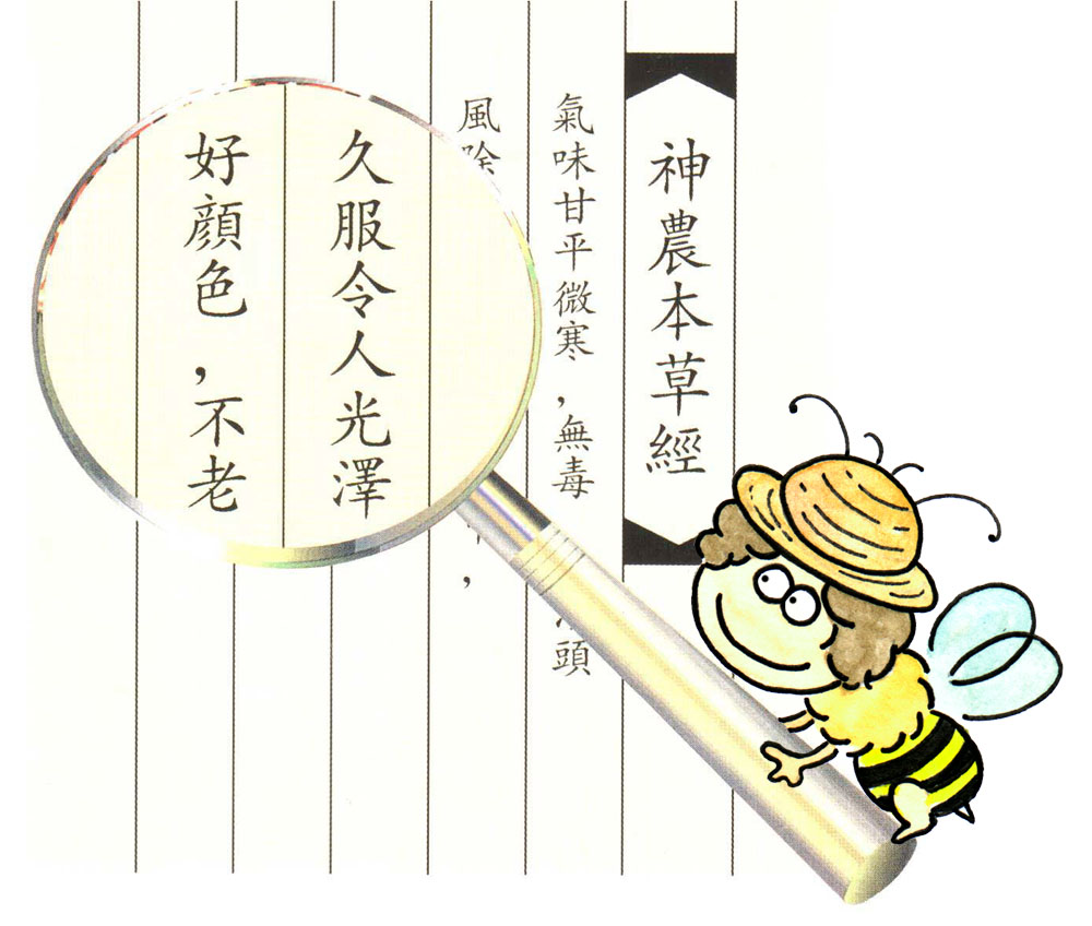 �I�̎q