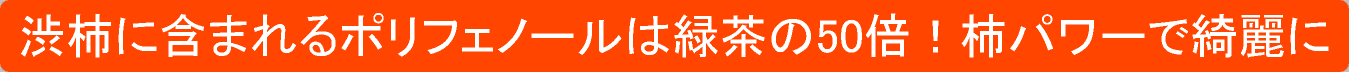 �i�`�������t�@�N�g���[